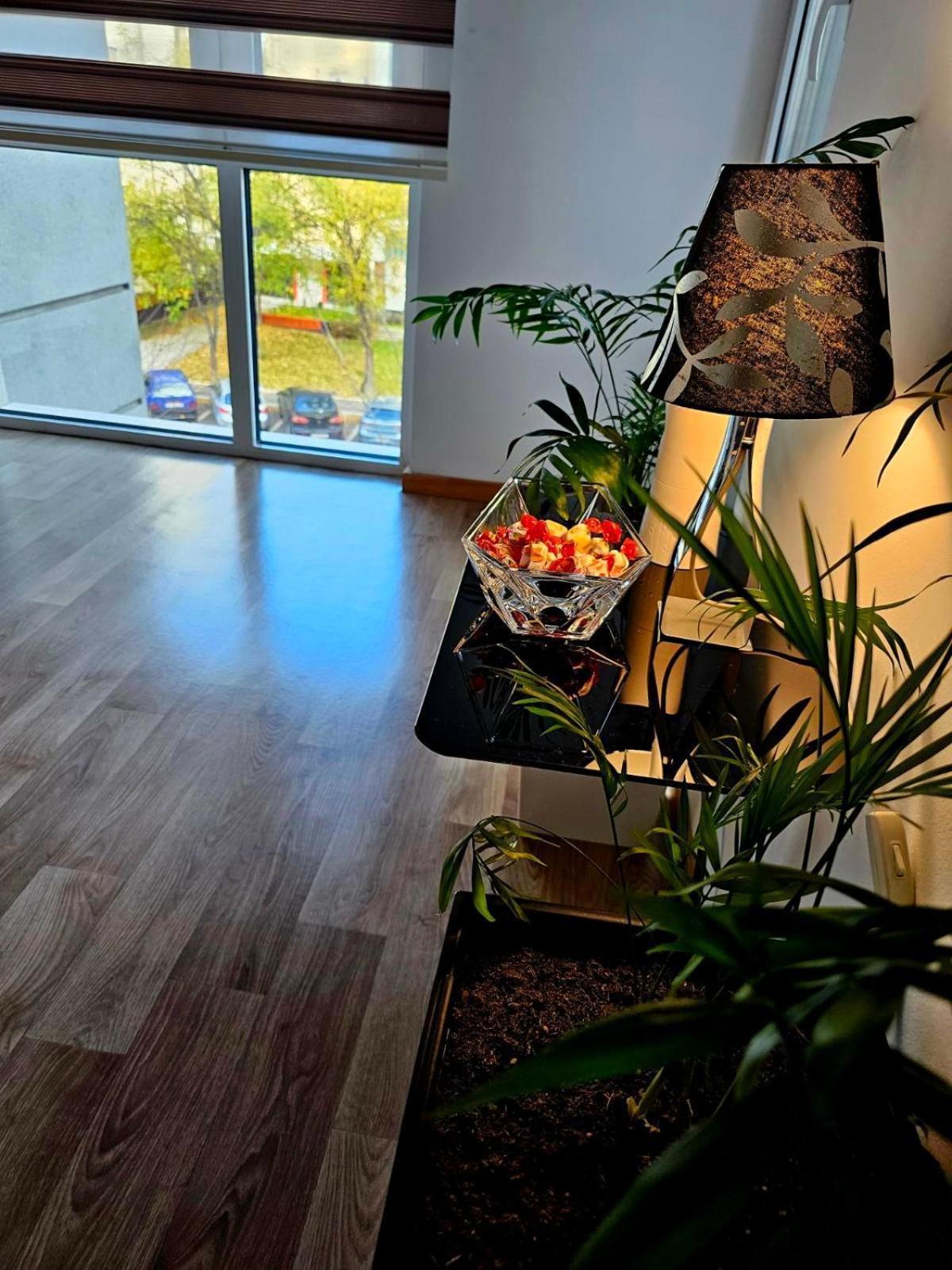 Eva'S Premium Apartments スコピエ エクステリア 写真