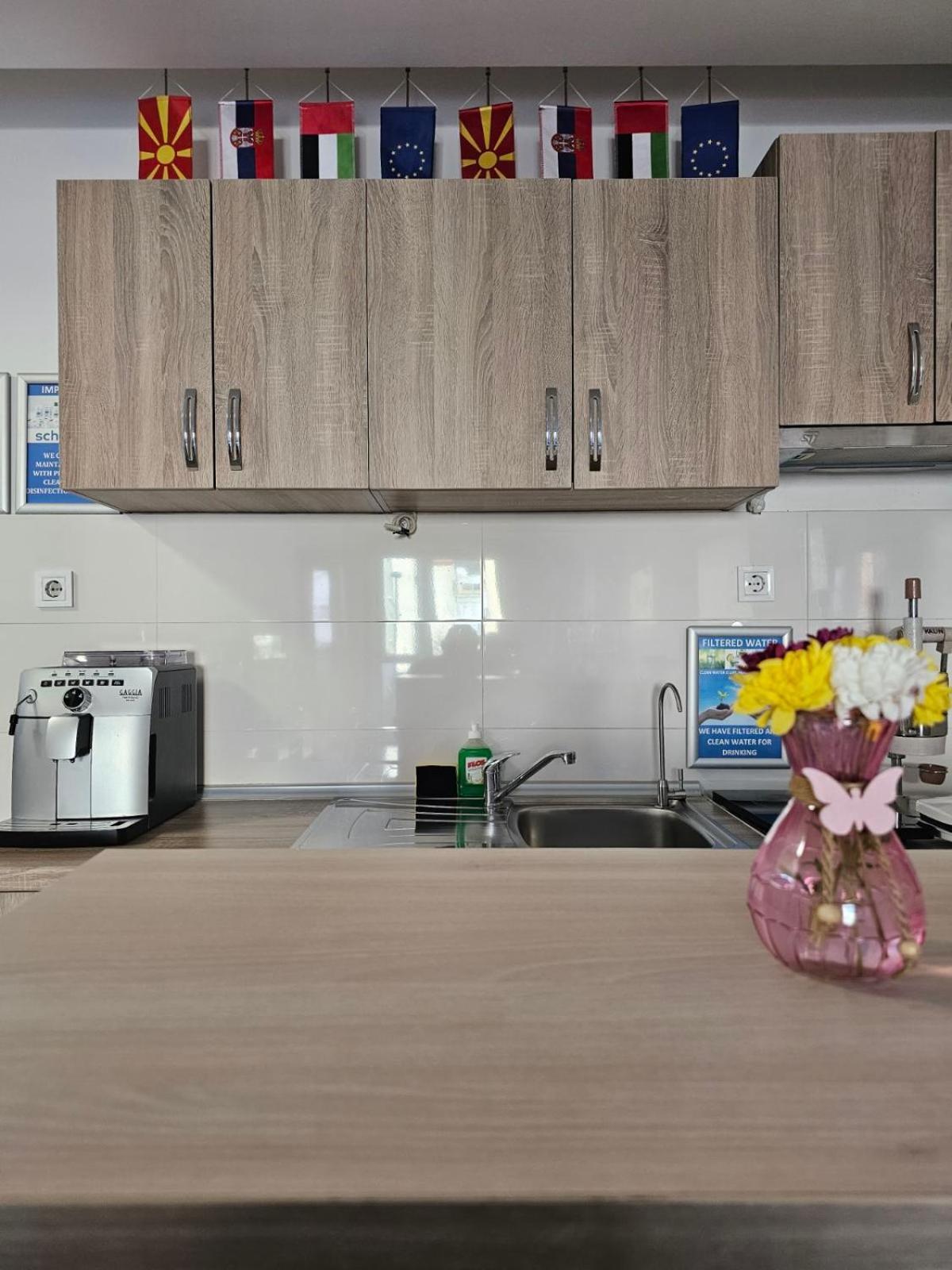 Eva'S Premium Apartments スコピエ エクステリア 写真